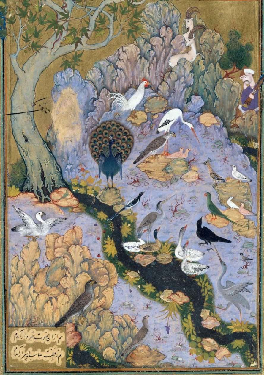 The Concourse of the Birds, a folio painting from a Mantiq al-tair manuscript